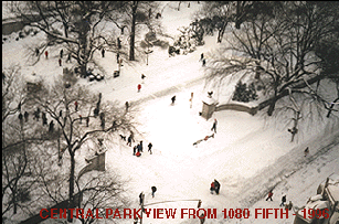 [Winter Scene]
