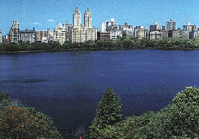 [View from 1080 Fifth Avenue]