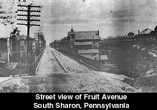[Fruit Avenue, South Sharon, Pa.]