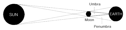  Eclipse Components