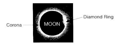 Eclipse Corona